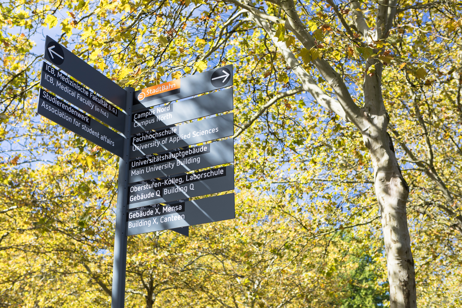 Signposts across the campus 