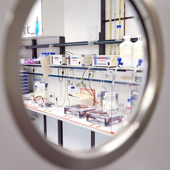 Blick auf ein Labor durch Fenster in der Tür
